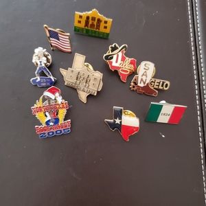 Texas State Souvenir Pins
